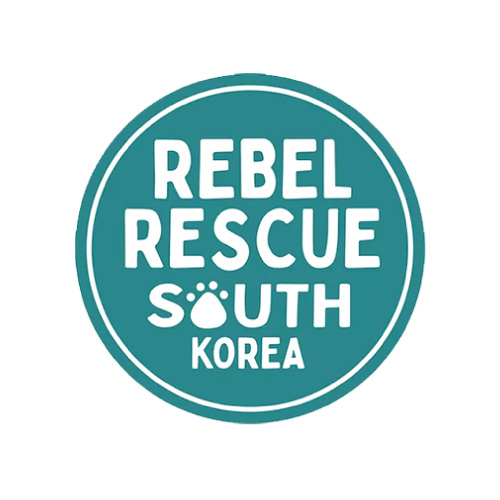 Rebel Rescue South Korea