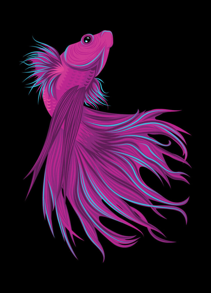 betta fish illustration