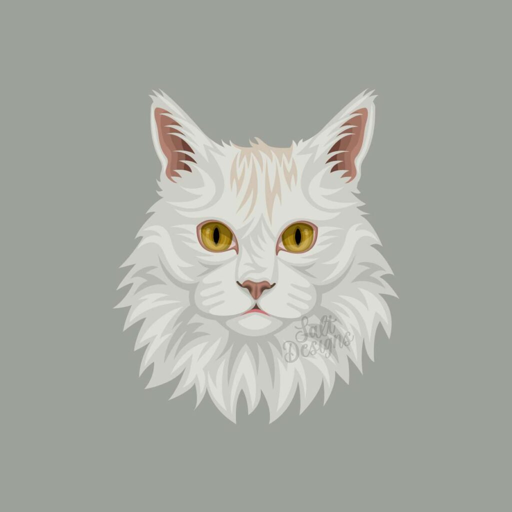 Mooncake the cat illustration