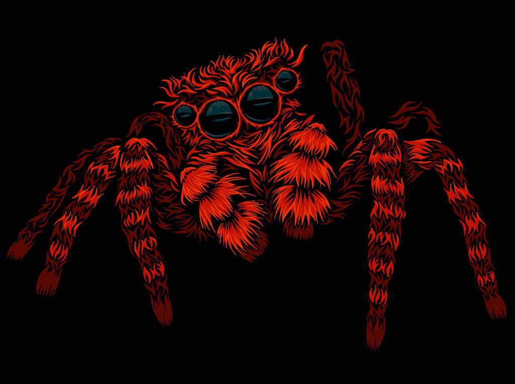 red spider illustration
