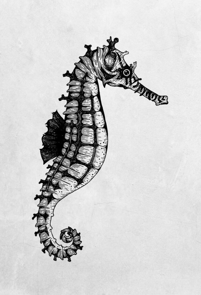 pen and ink illustration with seahorse