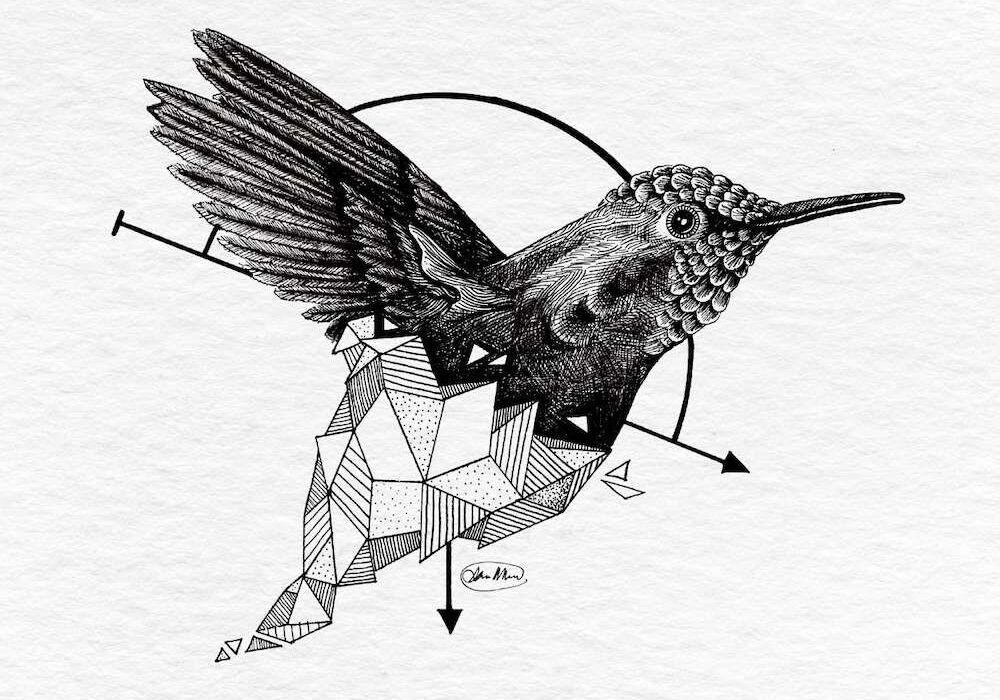 bird and geometry illustration